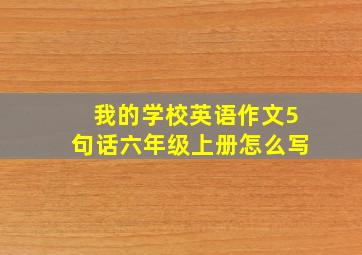 我的学校英语作文5句话六年级上册怎么写