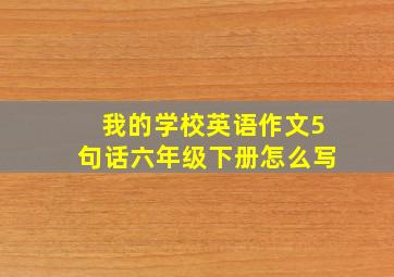 我的学校英语作文5句话六年级下册怎么写