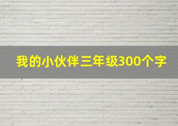 我的小伙伴三年级300个字