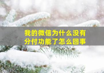 我的微信为什么没有分付功能了怎么回事