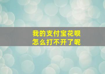 我的支付宝花呗怎么打不开了呢