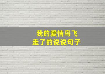 我的爱情鸟飞走了的说说句子