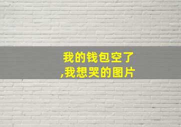 我的钱包空了,我想哭的图片