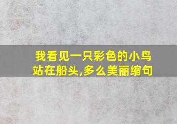 我看见一只彩色的小鸟站在船头,多么美丽缩句