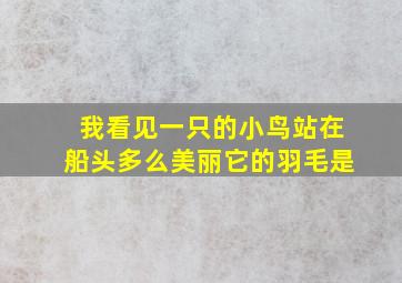 我看见一只的小鸟站在船头多么美丽它的羽毛是