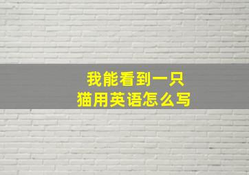 我能看到一只猫用英语怎么写