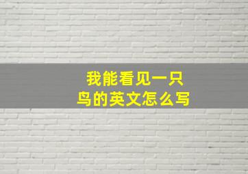 我能看见一只鸟的英文怎么写