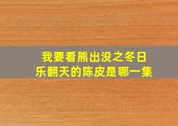 我要看熊出没之冬日乐翻天的陈皮是哪一集