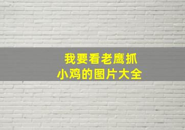 我要看老鹰抓小鸡的图片大全