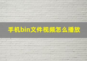 手机bin文件视频怎么播放