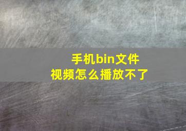 手机bin文件视频怎么播放不了