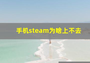 手机steam为啥上不去