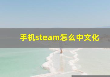 手机steam怎么中文化