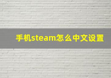 手机steam怎么中文设置