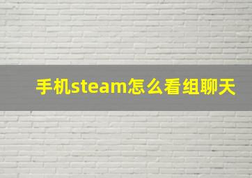 手机steam怎么看组聊天