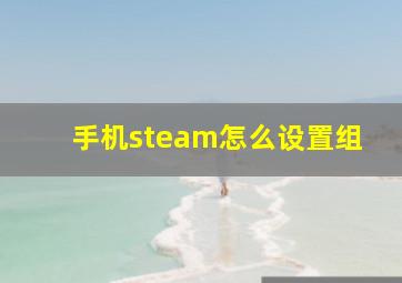 手机steam怎么设置组