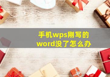 手机wps刚写的word没了怎么办