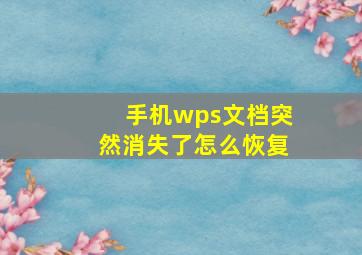 手机wps文档突然消失了怎么恢复