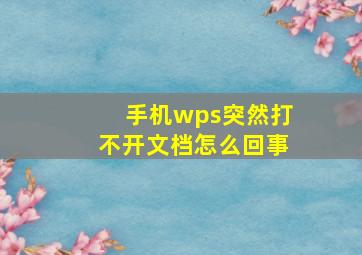 手机wps突然打不开文档怎么回事