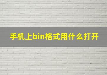 手机上bin格式用什么打开