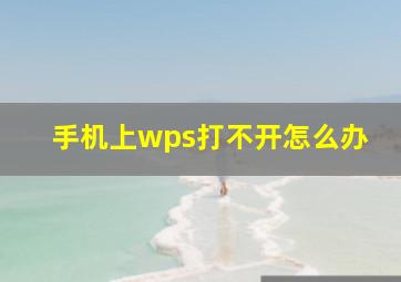 手机上wps打不开怎么办