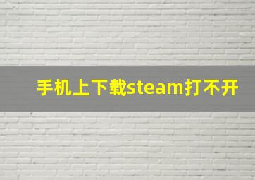 手机上下载steam打不开