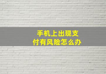 手机上出现支付有风险怎么办