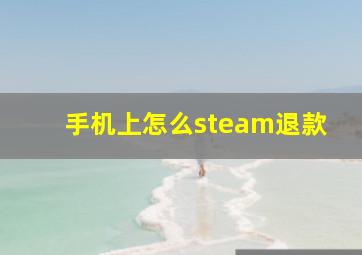 手机上怎么steam退款