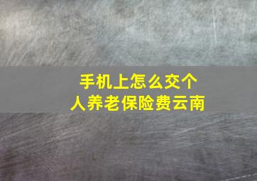 手机上怎么交个人养老保险费云南