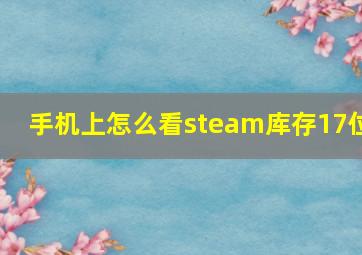 手机上怎么看steam库存17位