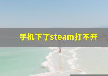 手机下了steam打不开