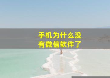 手机为什么没有微信软件了