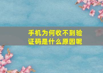 手机为何收不到验证码是什么原因呢