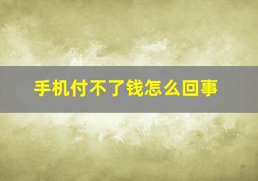 手机付不了钱怎么回事