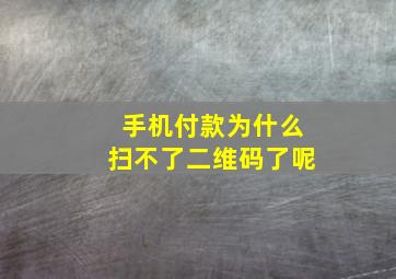 手机付款为什么扫不了二维码了呢