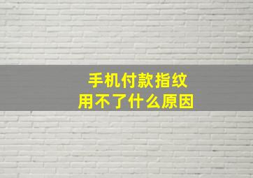 手机付款指纹用不了什么原因