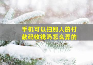 手机可以扫别人的付款码收钱吗怎么弄的