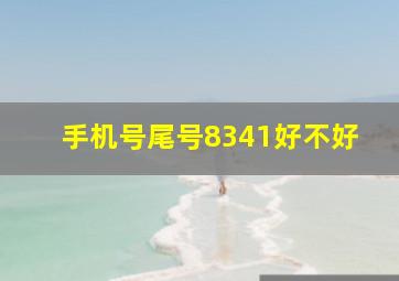 手机号尾号8341好不好