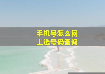 手机号怎么网上选号码查询