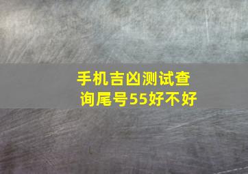 手机吉凶测试查询尾号55好不好