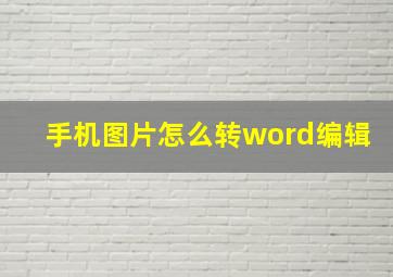 手机图片怎么转word编辑