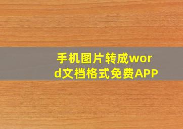 手机图片转成word文档格式免费APP