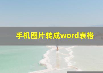 手机图片转成word表格