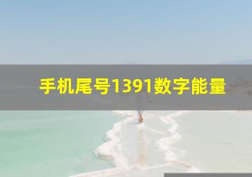 手机尾号1391数字能量