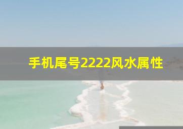 手机尾号2222风水属性