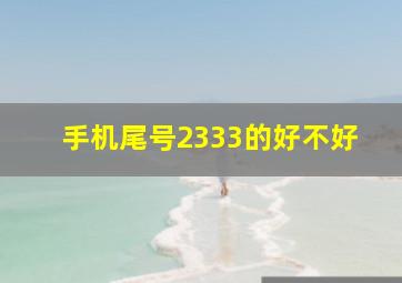 手机尾号2333的好不好