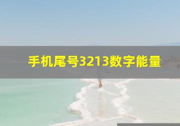 手机尾号3213数字能量