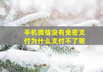 手机微信没有免密支付为什么支付不了呢