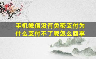 手机微信没有免密支付为什么支付不了呢怎么回事