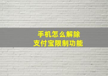 手机怎么解除支付宝限制功能